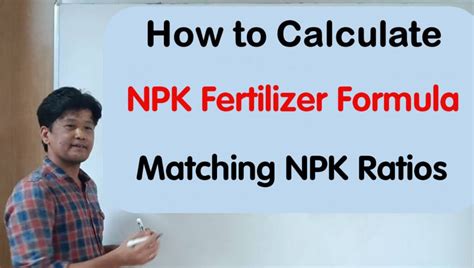 Understanding the NPK Formula