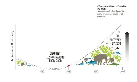 Understanding the Nature of Decline