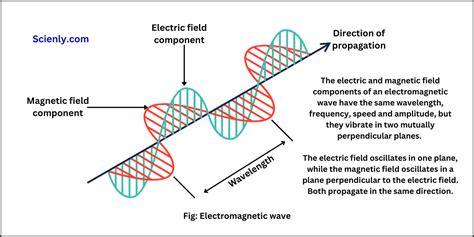 Understanding the Nature of Electro