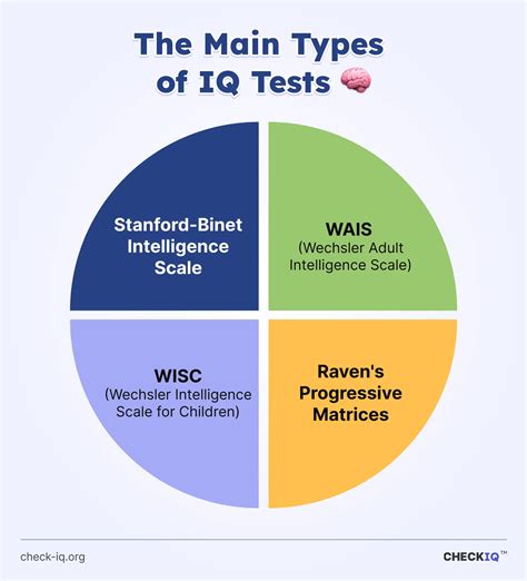 Understanding the Nature of IQ Tests