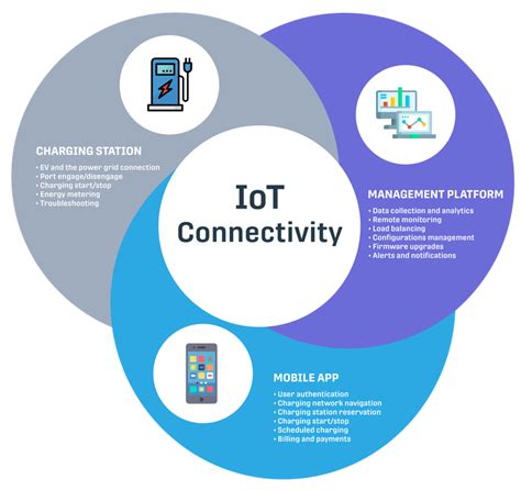 Understanding the Need for IoT Connectivity