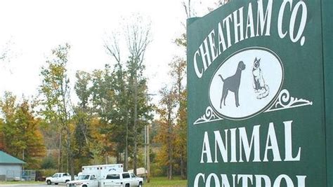 Understanding the Needs of Cheatham County Animal Owners