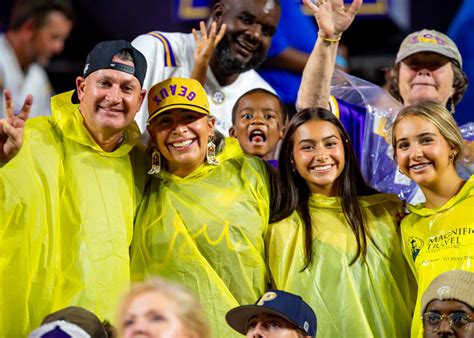 Understanding the Needs of LSU Fans