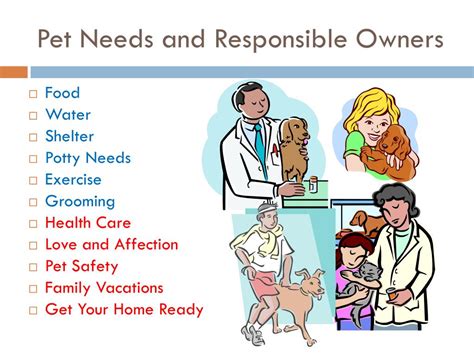 Understanding the Needs of Pet Owners