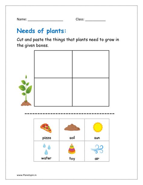 Understanding the Needs of Shrubs and Bushes