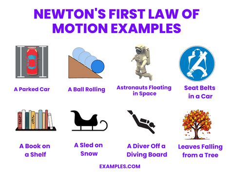 Understanding the Newton