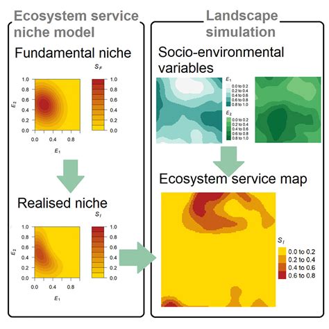 Understanding the Niche Paradigm