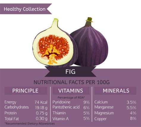 Understanding the Nutritional Needs of Fig Trees