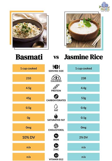 Understanding the Nutritional Needs of Jasmine