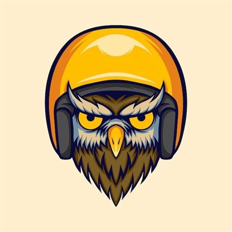 Understanding the Owl Helmet