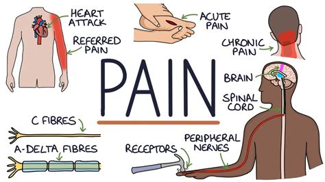 Understanding the Pain: Why Mods Disappear