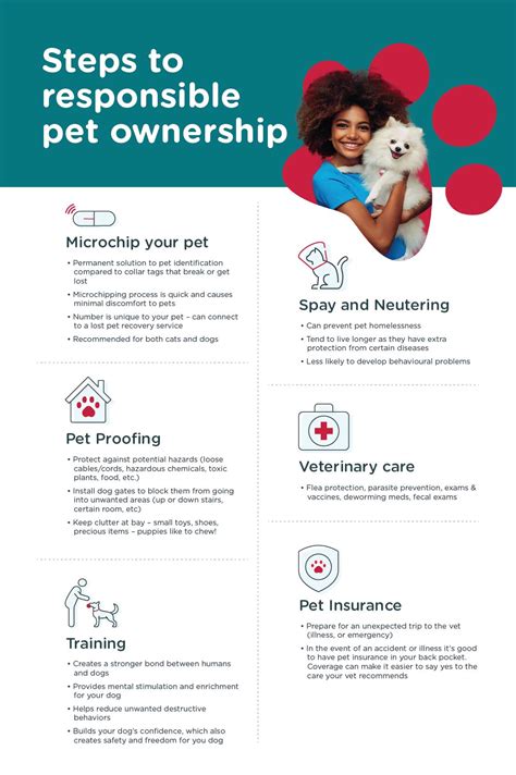 Understanding the Pain Points of Pet Ownership