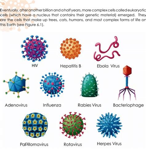 Understanding the Perils of Viral Infections