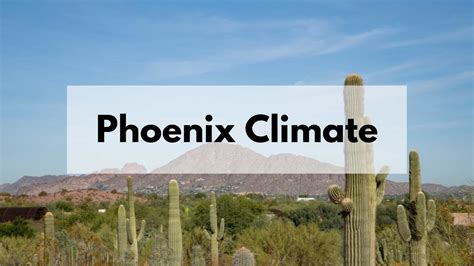 Understanding the Phoenix Climate