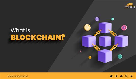 Understanding the PocketPair Blockchain