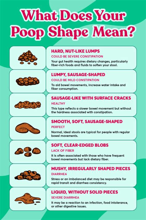 Understanding the Pooping Landscape at Walmart