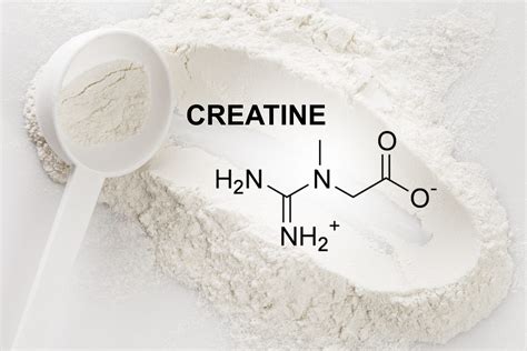 Understanding the Power of Creatine