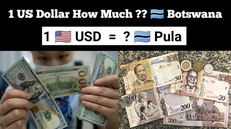 Understanding the Pula and the Dollar