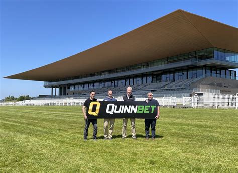 Understanding the QuinnBet Platform