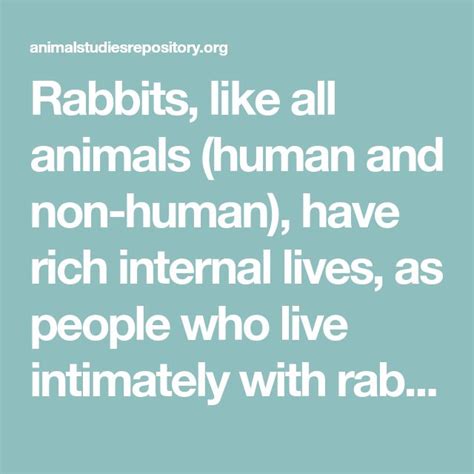 Understanding the Rabbit Psyche