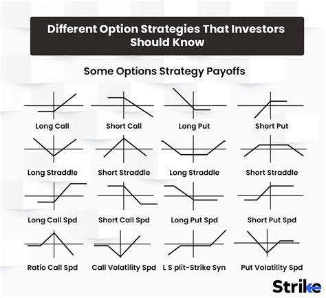 Understanding the Range of Options