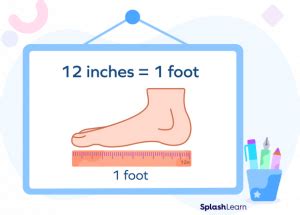 Understanding the Relationship: Inches and Feet