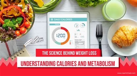 Understanding the Relationship Between Calories and Weight