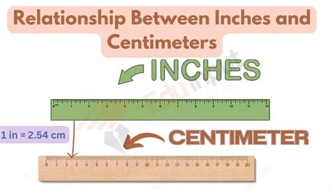 Understanding the Relationship Between Centimeters and Pounds