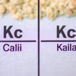 Understanding the Relationship between Kcals and KJs