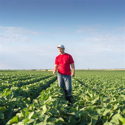 Understanding the Revolutionary Soybean Industry through Soyluiicam