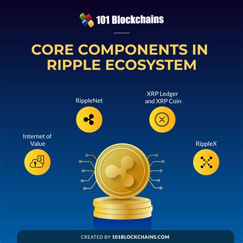 Understanding the Ripple Ecosystem