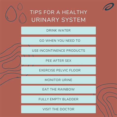 Understanding the Role of Food in Urinary Tract Health