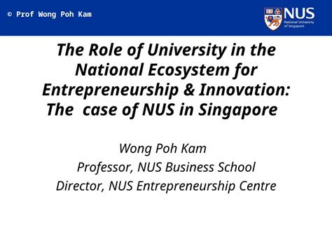 Understanding the Role of a NUS University Professor