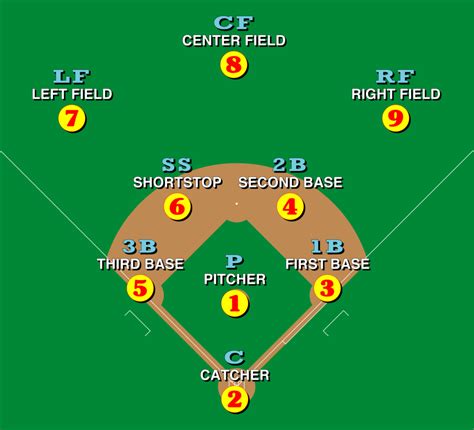 Understanding the Role of the Outfielder