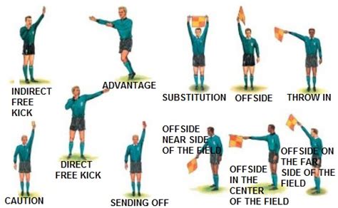 Understanding the Role of the Referee