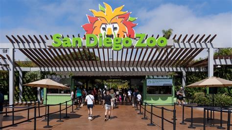 Understanding the San Diego Zoo's Significance