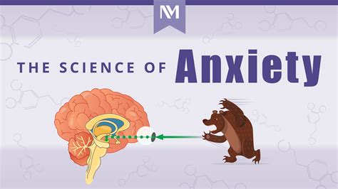 Understanding the Science Behind Anxiety Crystals