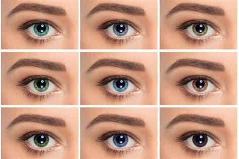 Understanding the Science Behind Eye Color