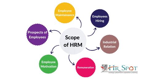 Understanding the Scope of HR Courses