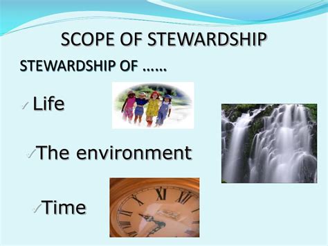 Understanding the Scope of Stewardship