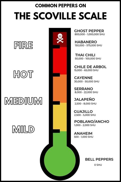 Understanding the Scoville Scale: A Measure of Heat Intensity