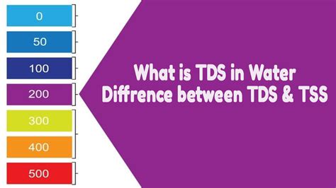 Understanding the Significance of 100SXE15MN+TSS