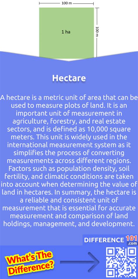 Understanding the Significance of Hectare and Acre: Unraveling the Metrics of Land Measurement