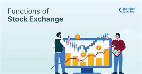 Understanding the Significance of Stock Lists