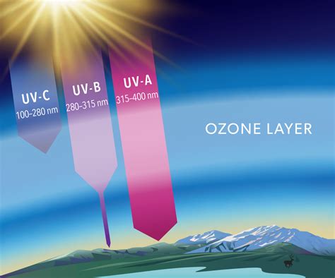 Understanding the Significance of UV Protection