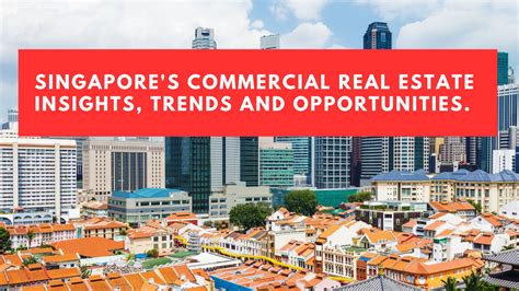 Understanding the Singaporean Real Estate Market