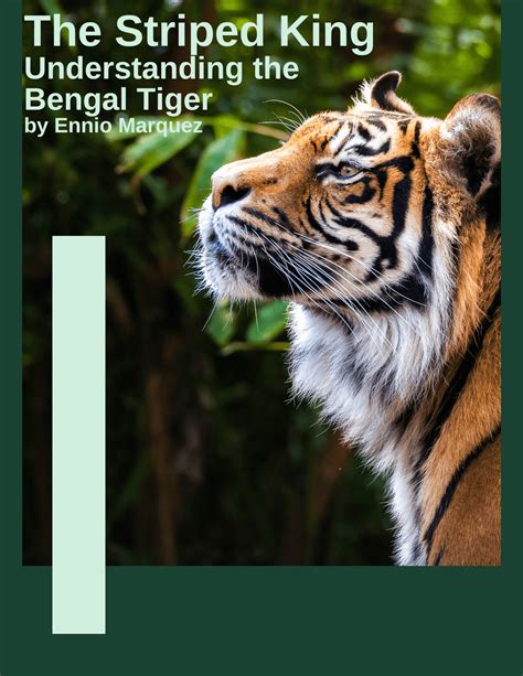 Understanding the Tan Bengal Stripe