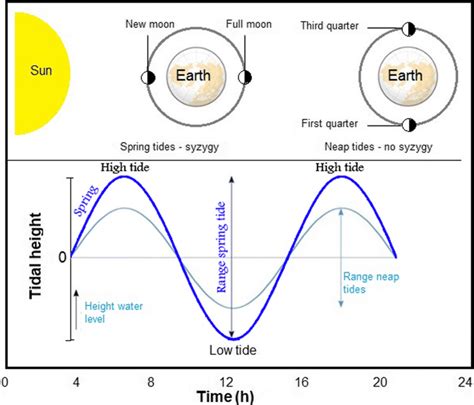 Understanding the Tidal Cycle