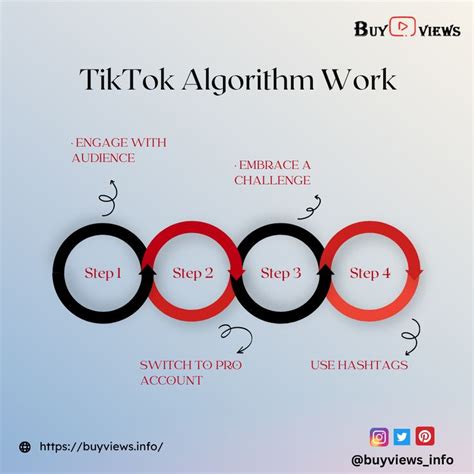 Understanding the TikTok Algorithm