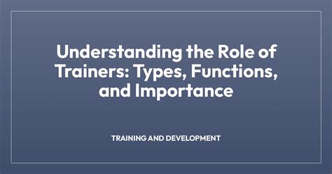 Understanding the Types of Trainers